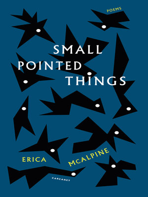 cover image of Small Pointed Things